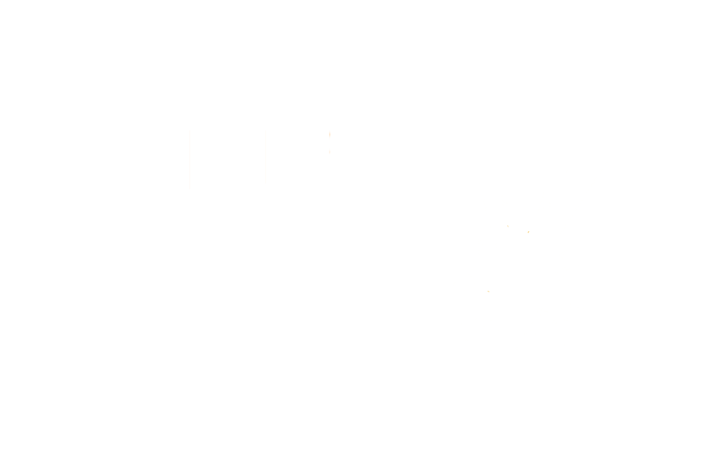 Liv Group